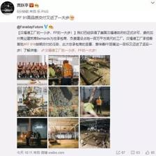 贾跃亭 FF91 建新工厂,蚂蚁金服融资 140 亿美元