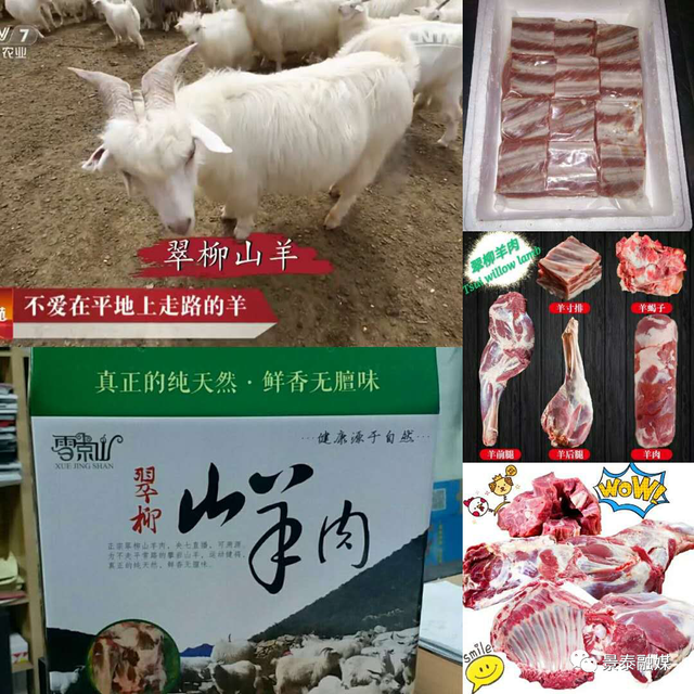 景泰"条山梨"等5个特色农产品品牌入选 "甘味"知名农产品品牌目录